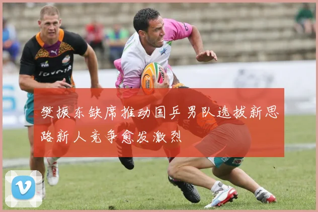 樊振东缺席推动国乒男队选拔新思路新人竞争愈发激烈