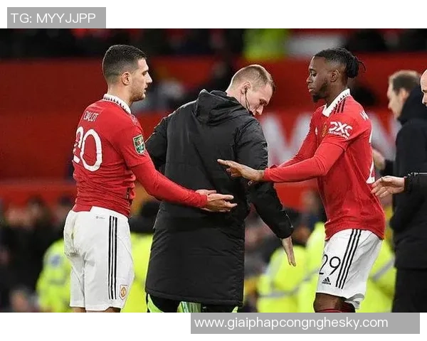 曼联与利物浦联合呼吁球迷停止对悲剧事件的嘲讽行为