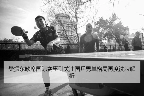 樊振东缺席国际赛事引关注国乒男单格局再度洗牌解析