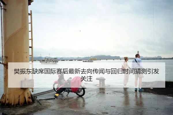 樊振东缺席国际赛后最新去向传闻与回归时间猜测引发关注